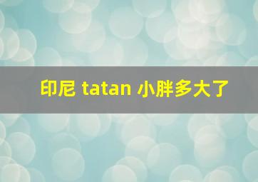 印尼 tatan 小胖多大了